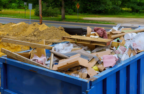 Best Residential Junk Removal  in Lake City, MN